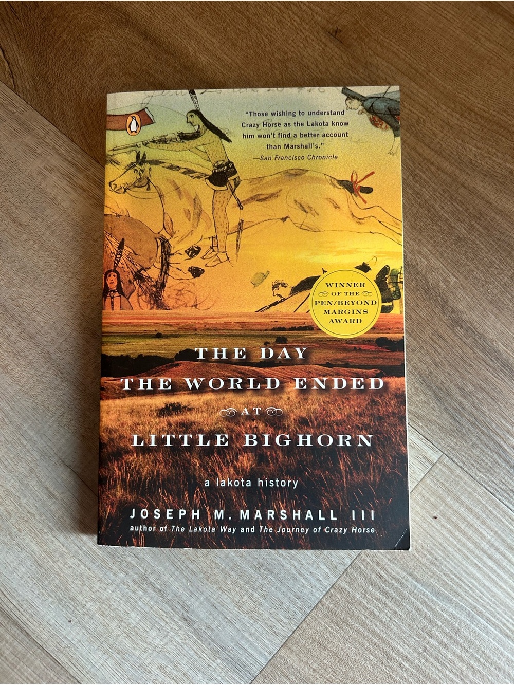 The Day the World Ended at Little Bighorn A Lakota History Paperback